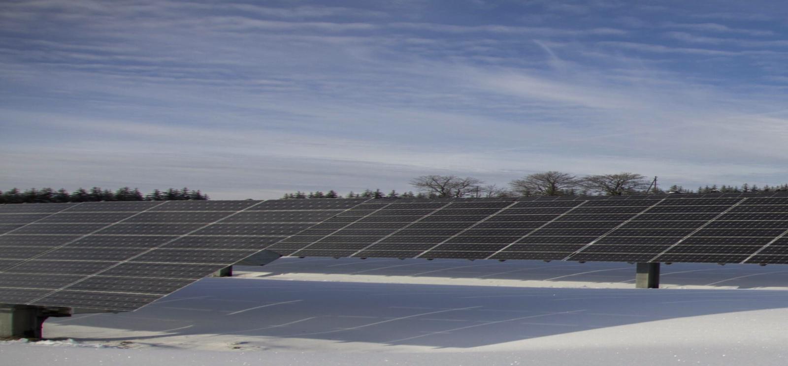 Rows of solar panels