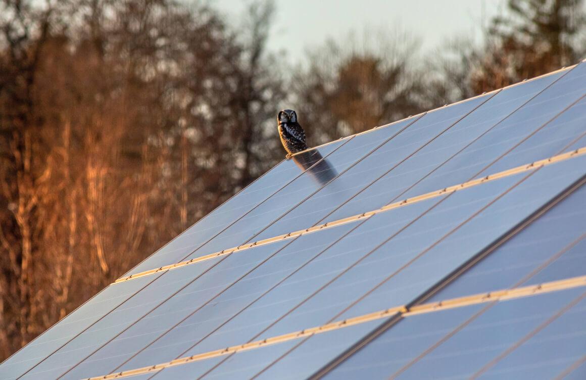Close view of solar panels